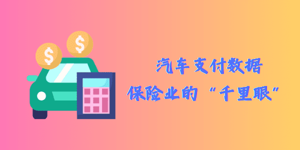 汽车支付数据，保险业的“千里眼”