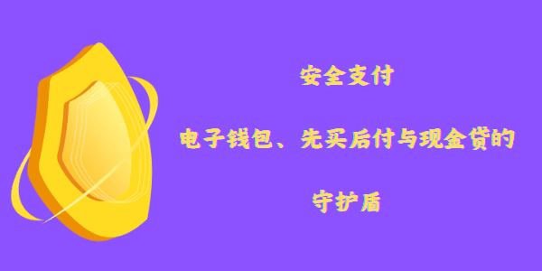 安全支付：电子钱包、先买后付与现金贷的守护盾